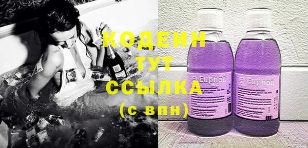 индика Баксан