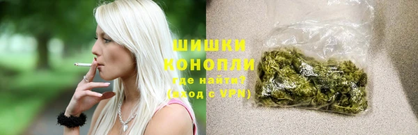 индика Баксан