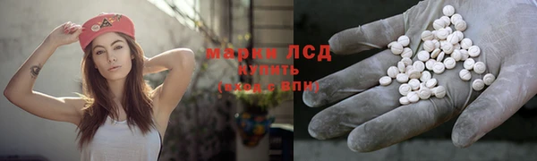 индика Баксан