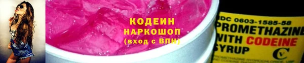 индика Баксан