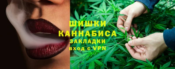стаф Балахна