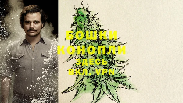 стаф Балахна