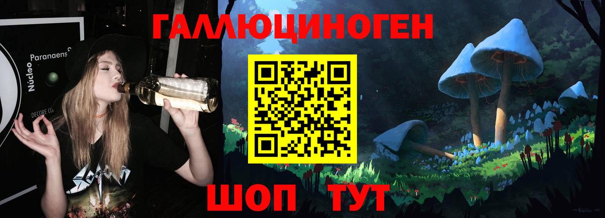 Галлюциногенные грибы Psilocybe  Галлюциногенные грибы мицелий  Семилуки  Вход с VPN 