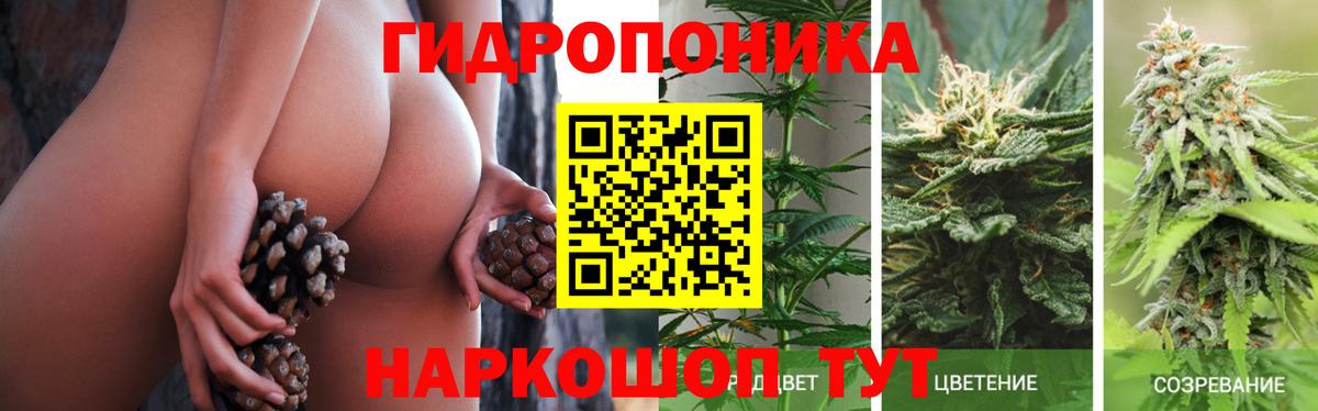 Каннабис тримм  Канабис Amnesia  Вход с VPN  МАРИХУАНА White Widow  Семилуки 